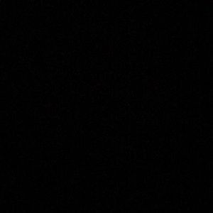 Meet your Posher, Elsie